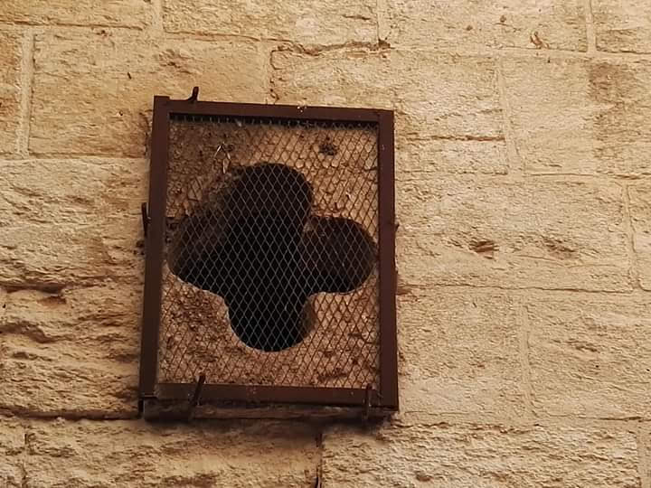 الناصرة | موسوعة القرى الفلسطينية